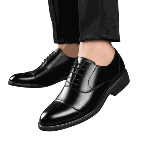 Zapato estiloso y elegante